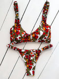 Bikini Claudia - Datterino