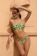 Bikini Aurora - Gelsomini